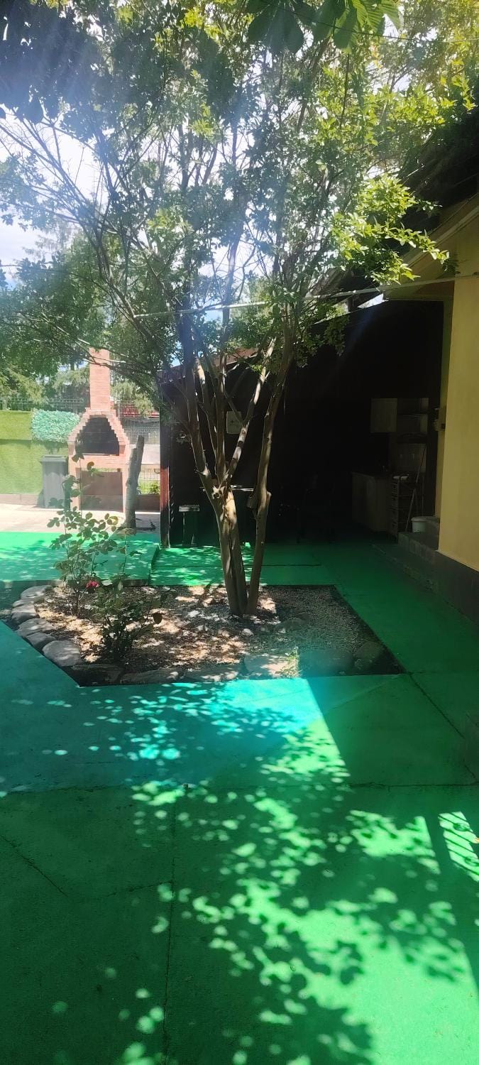 Casa la Petcu Bed and Breakfast in Constanța County