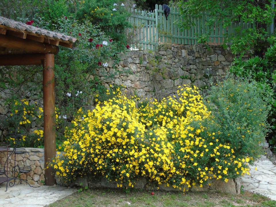 Mas des Citronniers Bed and Breakfast in French Riviera
