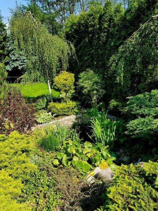 Property building, Garden