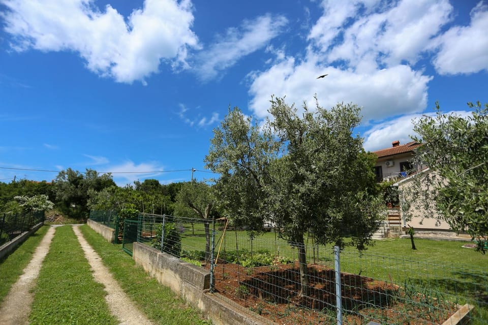Property building, Garden