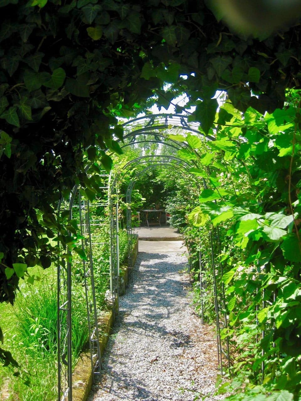 Garden view