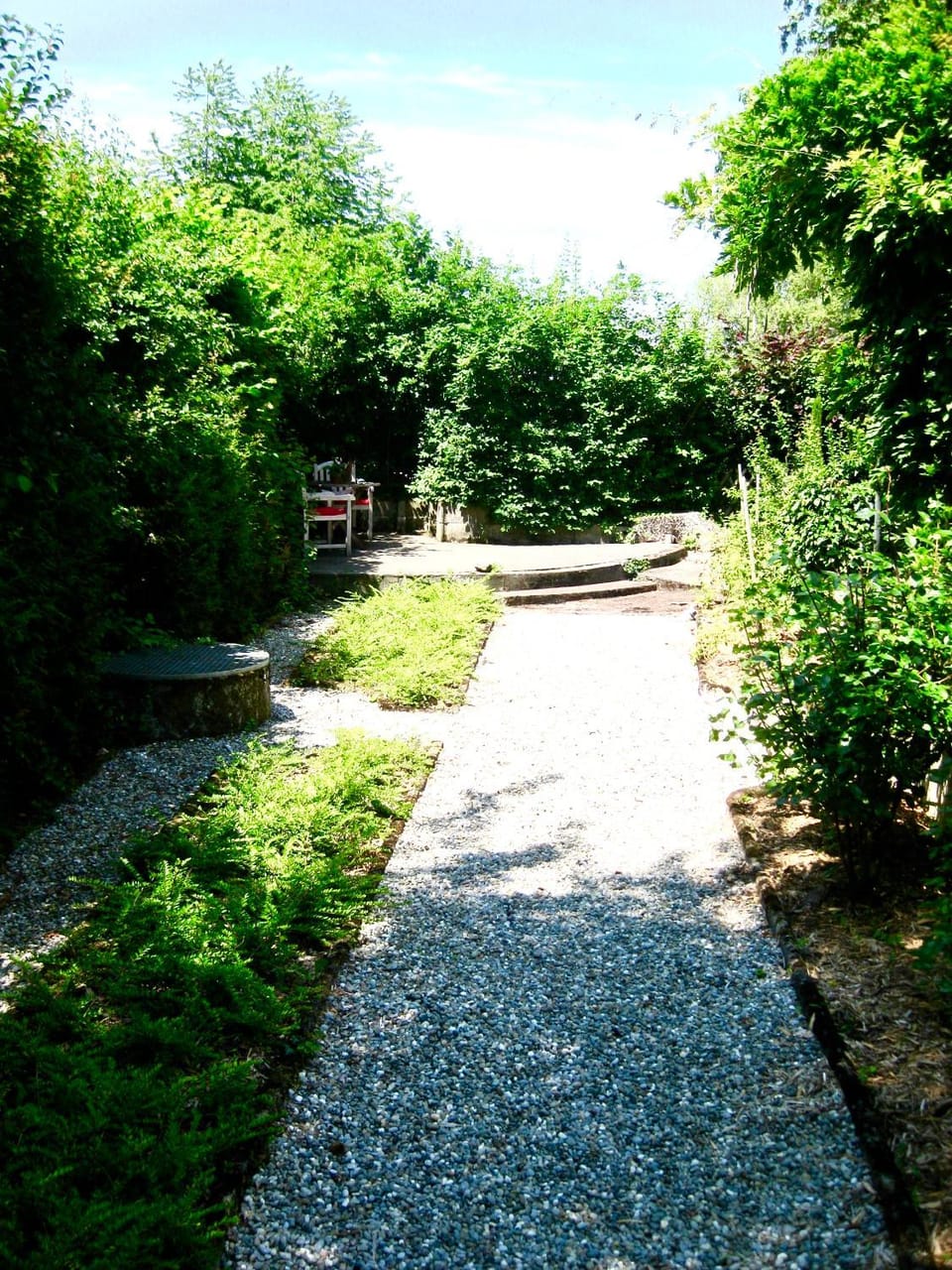 Garden view