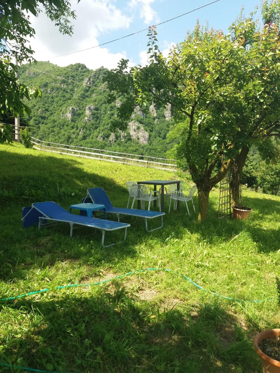 Garden view