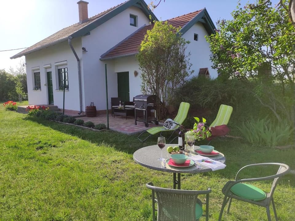 Szőlőhegyi házikó - Cottage in the vineyard House in Hungary