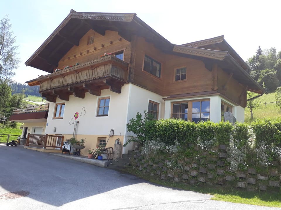 Property building, Animals, Pets