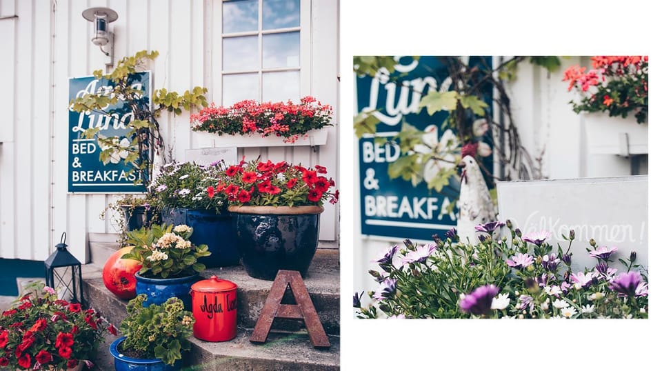 Garden, Logo/Certificate/Sign