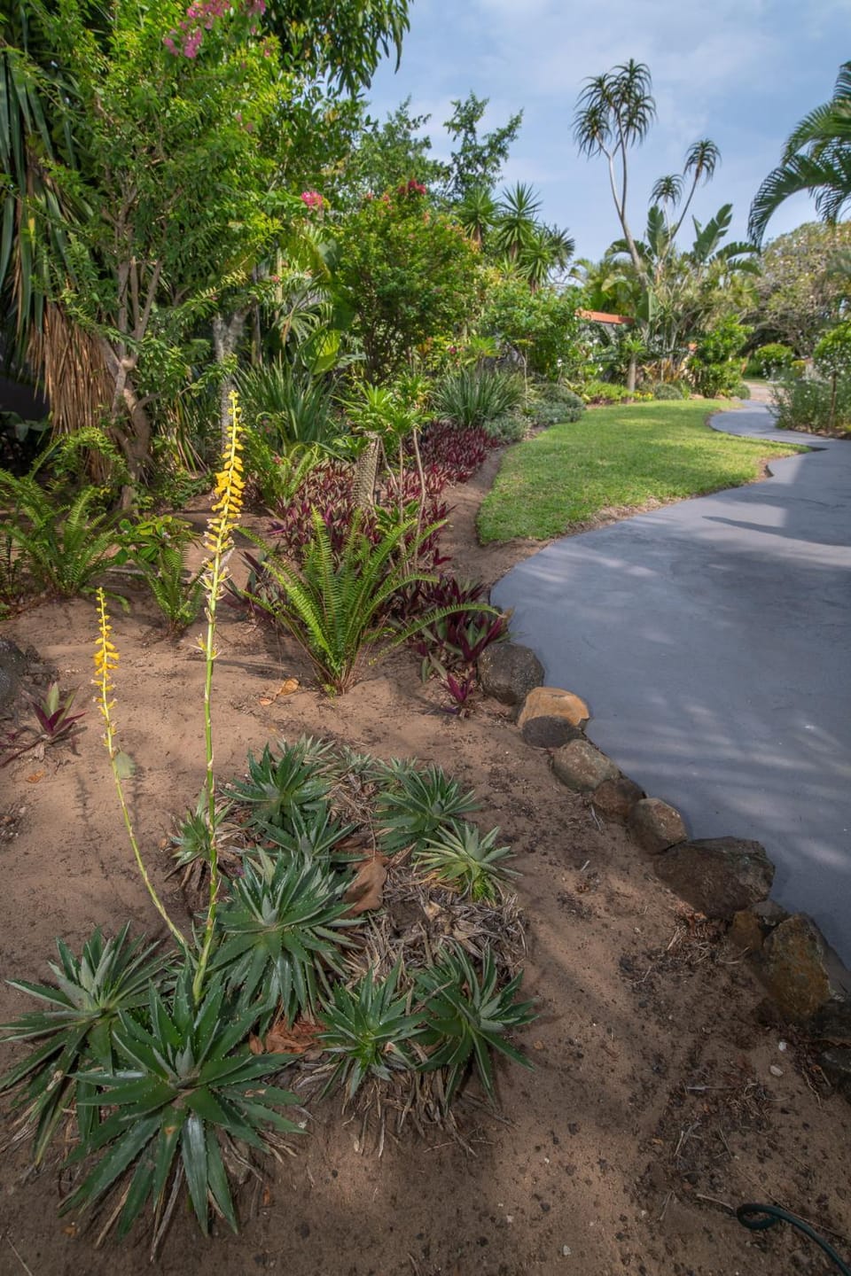 Natural landscape, Garden, Garden view
