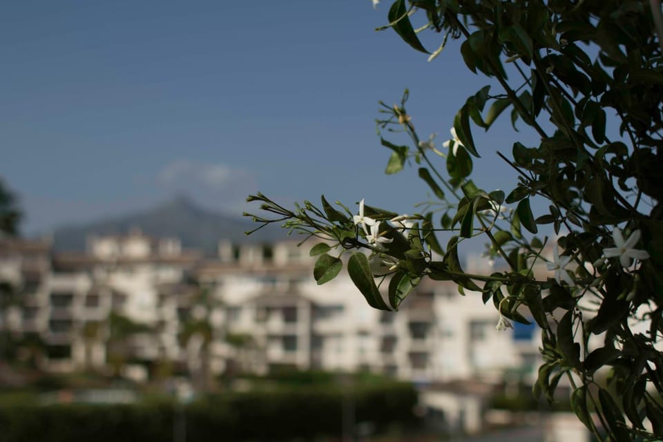 Off site, Day, Summer, Mountain view, Sea view, Street view