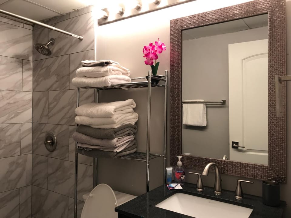 Wine Down Downtown ATL 14J Apartment in Atlanta