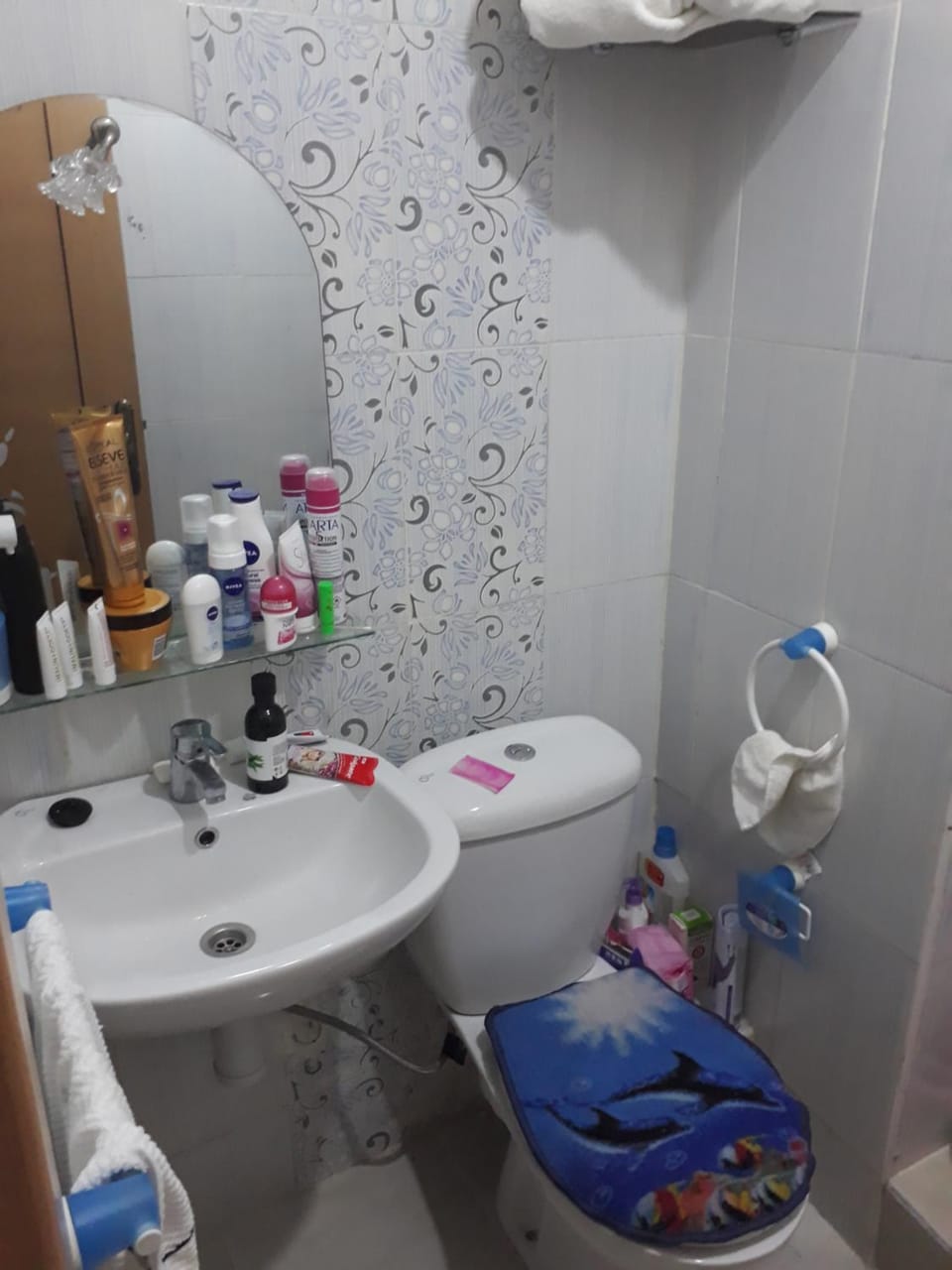 Shower, Toilet