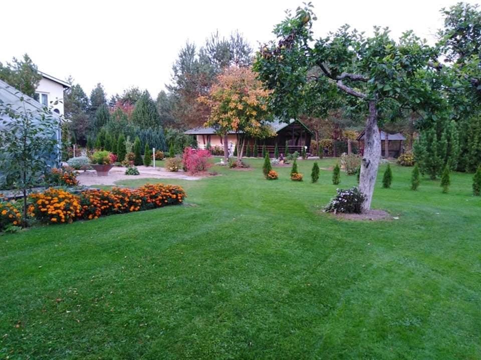 Mustvee Creek Cottage Nature lodge in Estonia