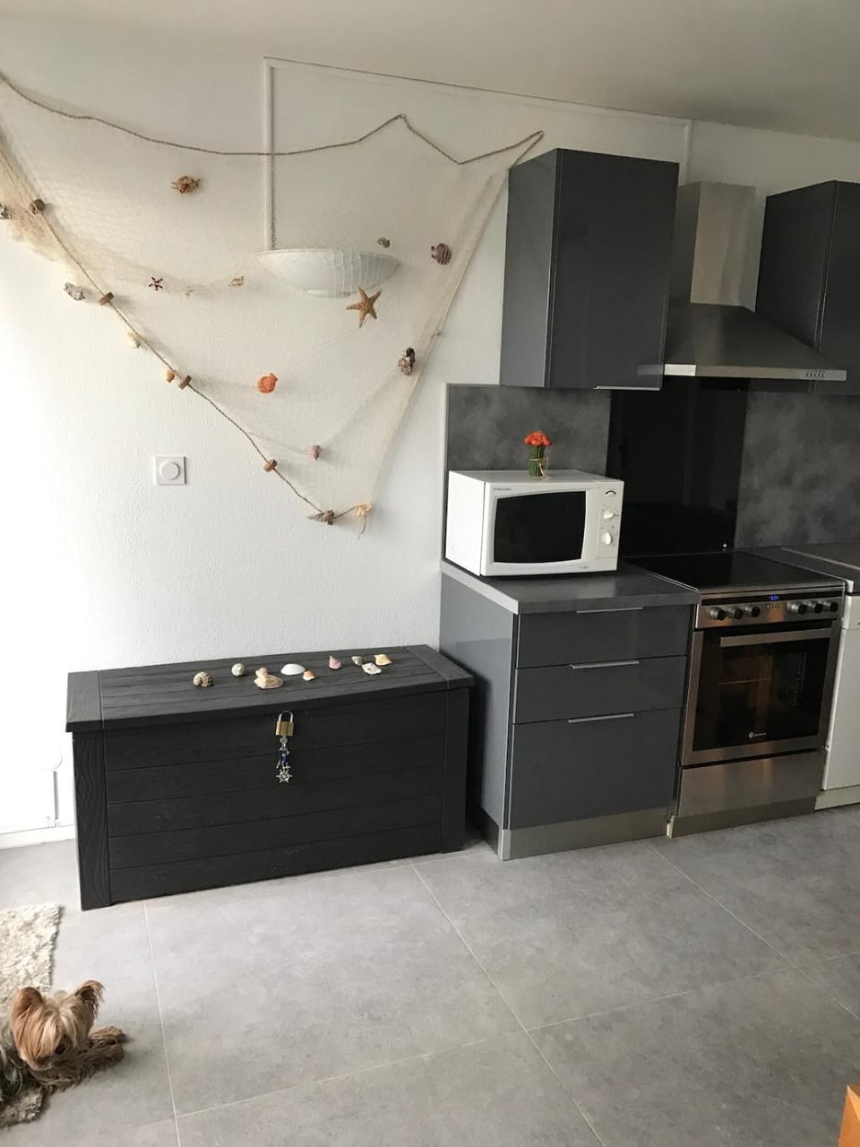 Kitchen or kitchenette, dishwasher, oven, pet friendly, stove