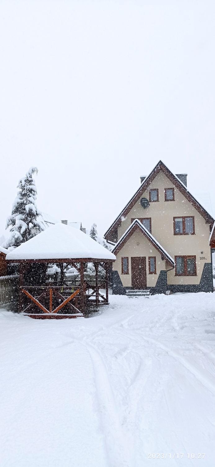 Winter