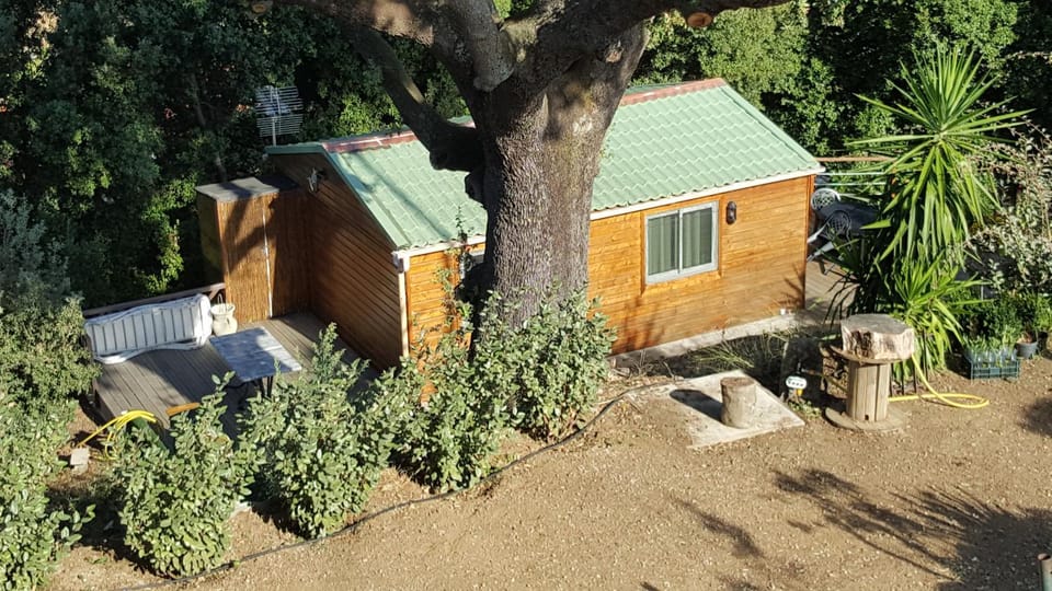 Le petit chalet Chalet in Corsica