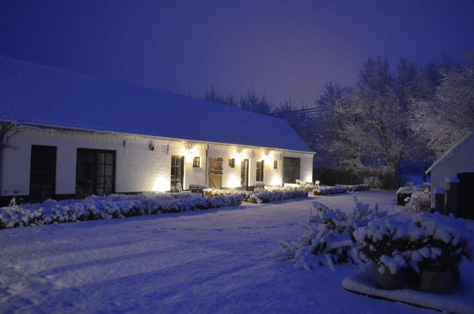 Property building, Winter