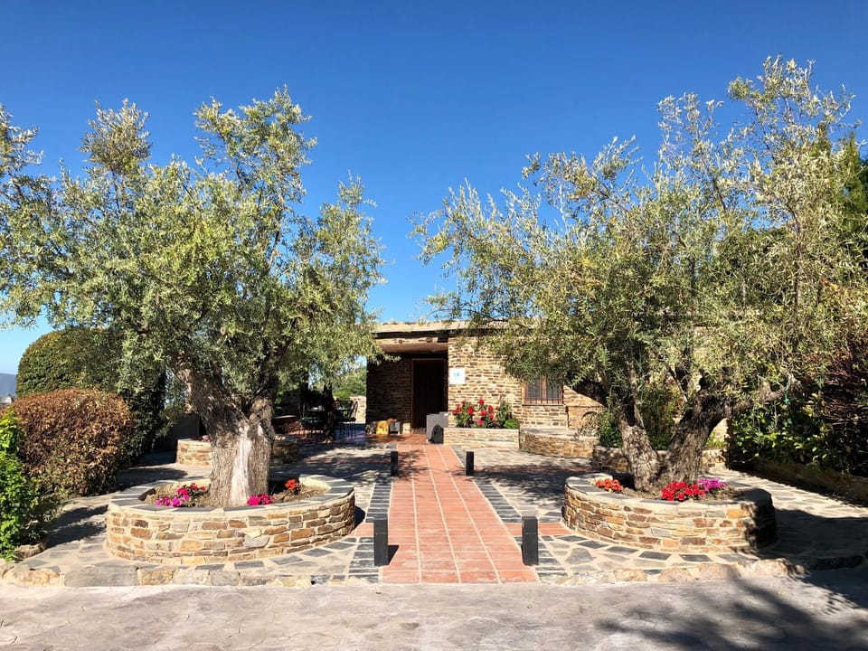 Patio, Facade/entrance