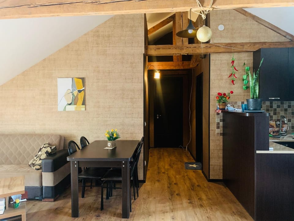 Beautiful Apartment on Atoneli Apartment in Tbilisi, Georgia