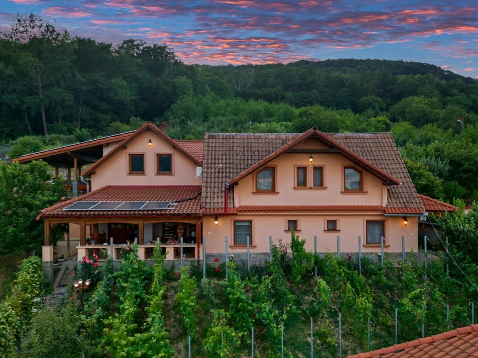 Property building, Natural landscape, Garden, Garden view, Mountain view
