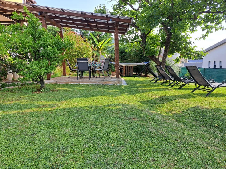 Natural landscape, Garden, sunbed