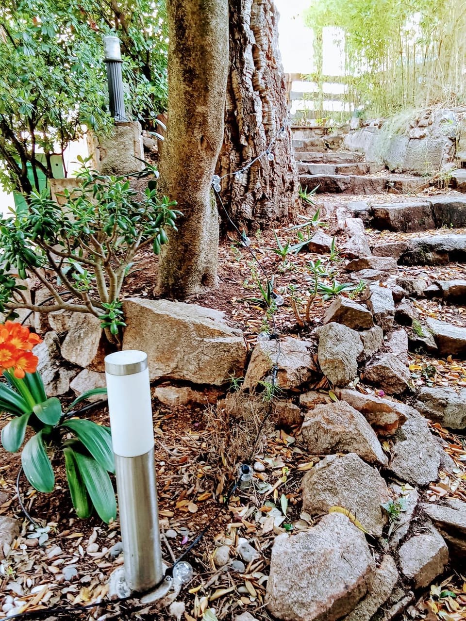 Garden, Garden view