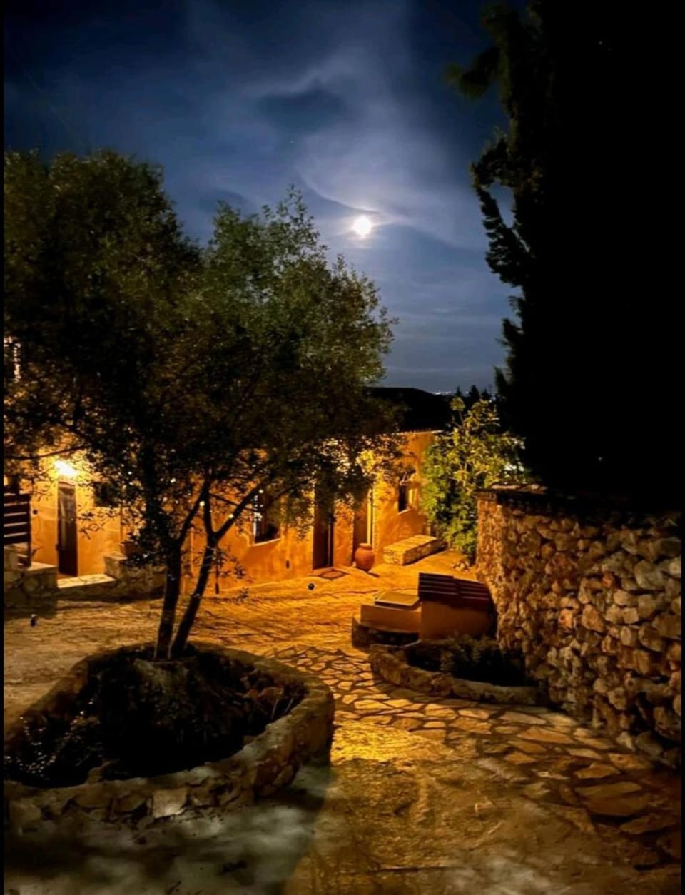 Garden view