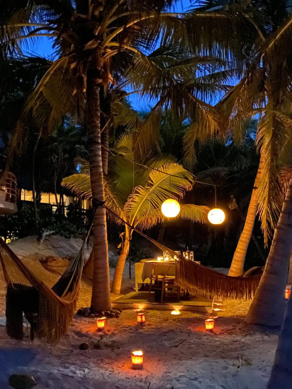 Night, Garden, Garden view