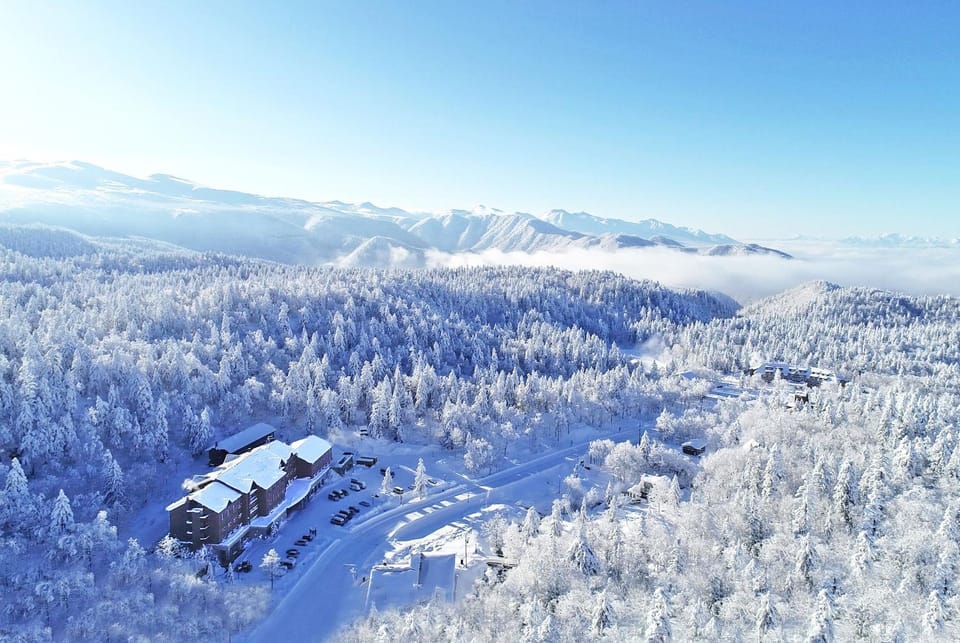 Property building, Natural landscape, Winter