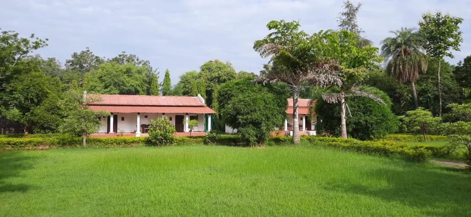 Natural landscape, Garden view
