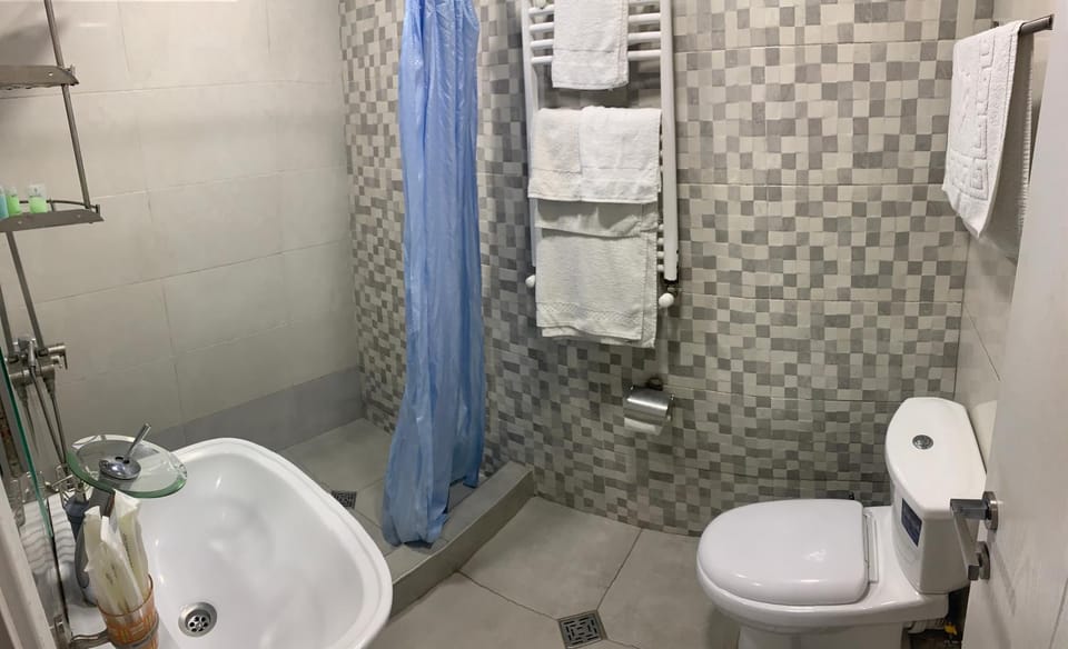 Shower, Toilet, towels