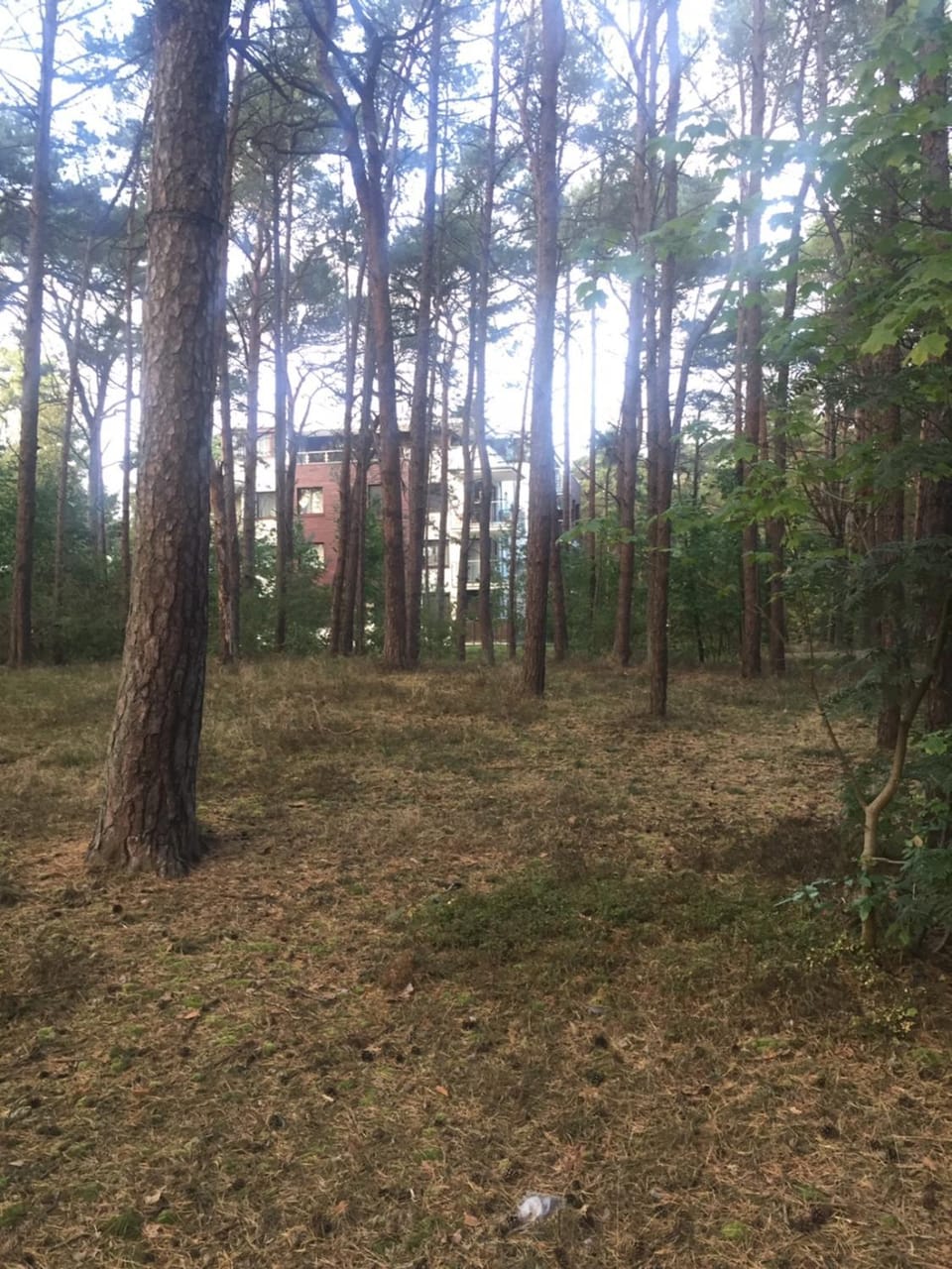 Neighbourhood, Natural landscape