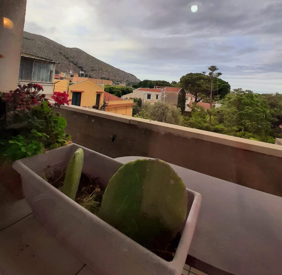 View (from property/room), Balcony/Terrace
