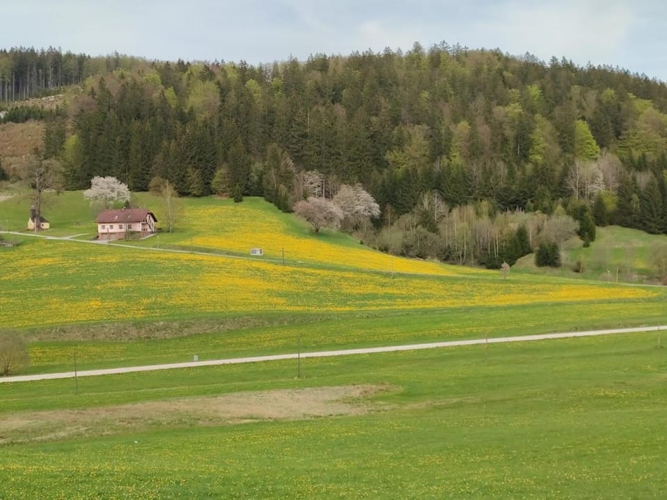 Ferienhaus Schöller Apartment in Austria