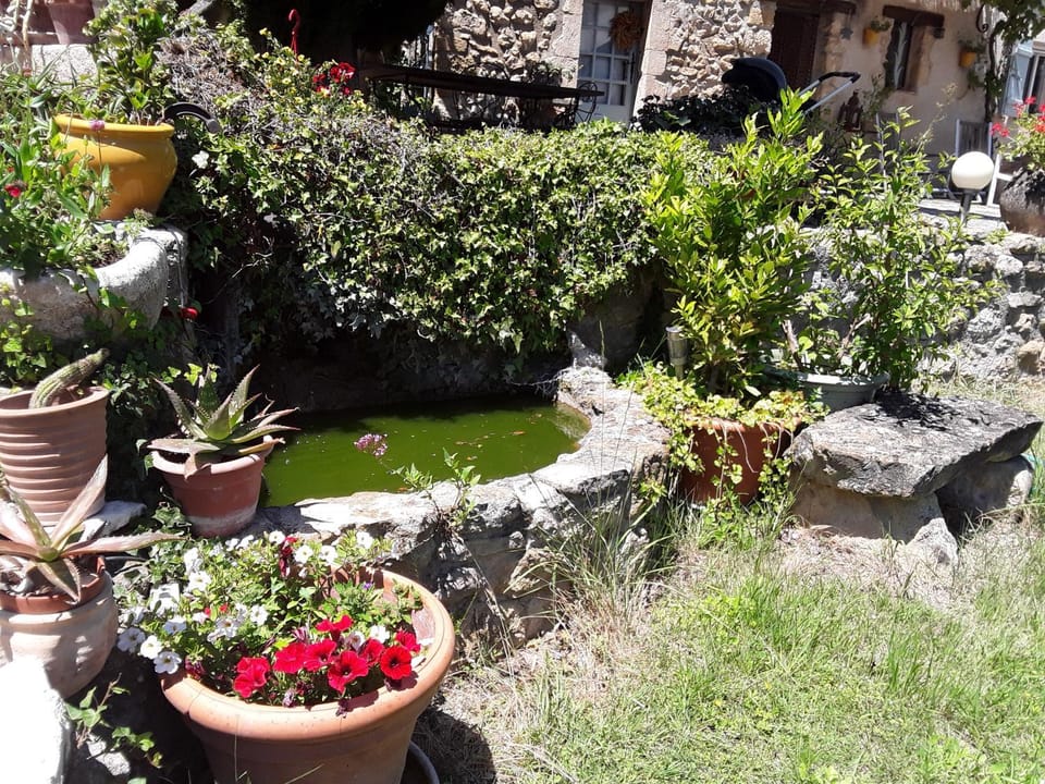 Le Paradis Bed and Breakfast in Provence-Alpes-Côte d'Azur