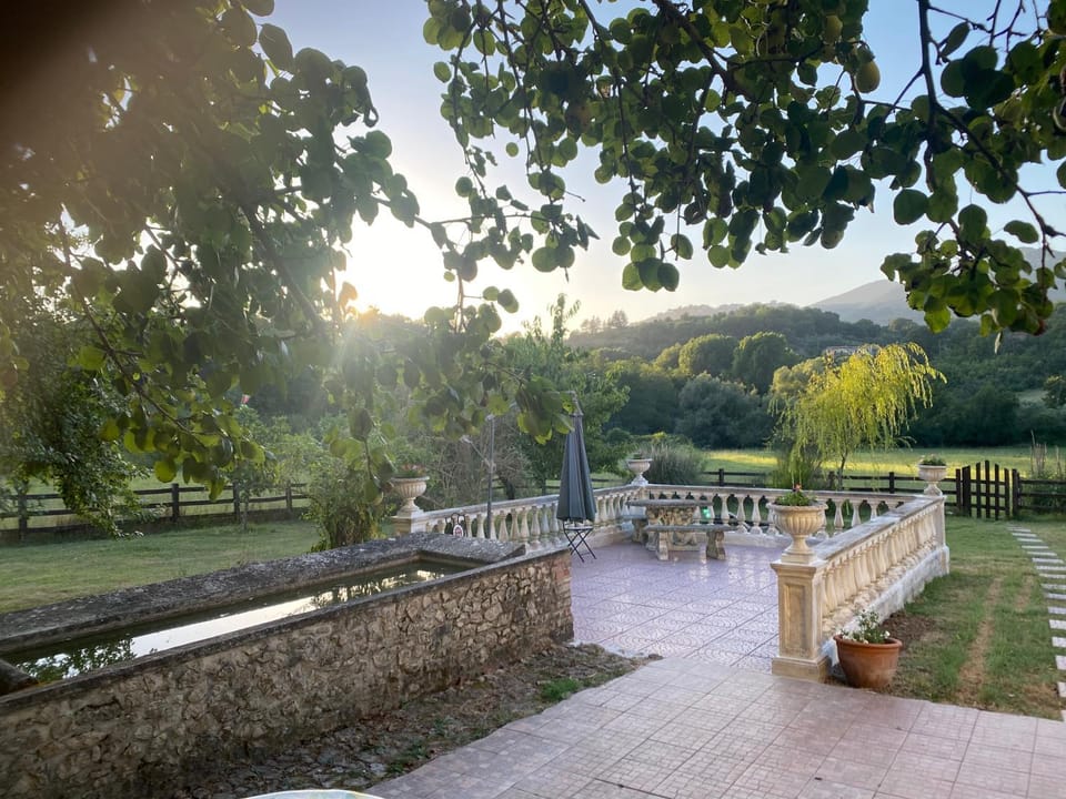 Garden, Mountain view