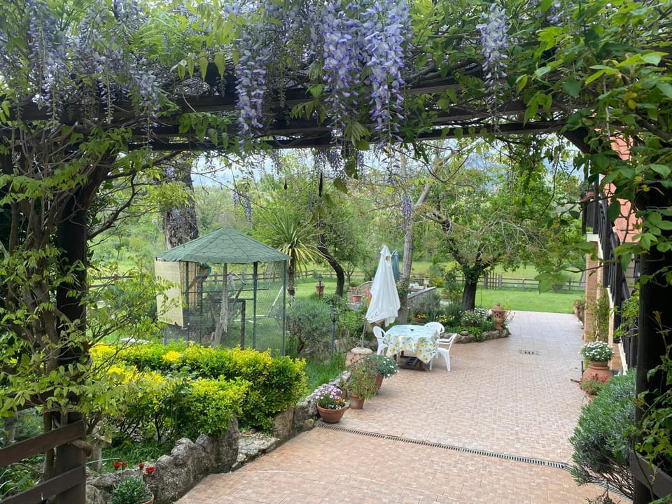 Casale delle ginestre. House in Lazio