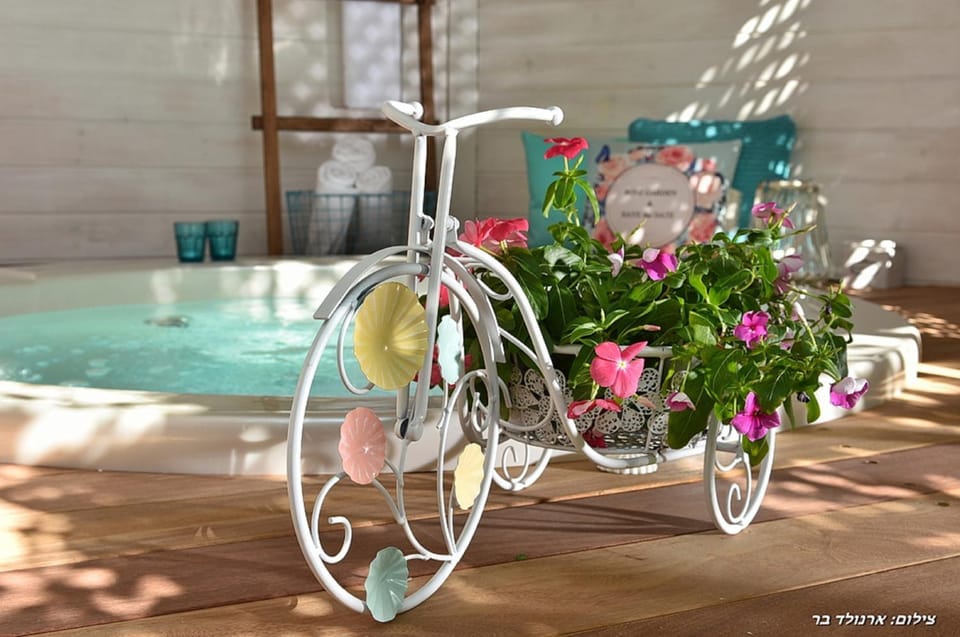 Hot Tub, Spa and wellness centre/facilities
