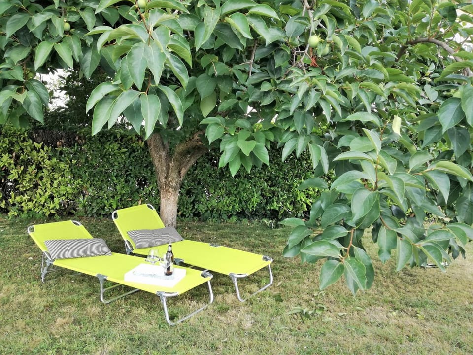 Garden, Garden, Garden view, Garden view, Inner courtyard view