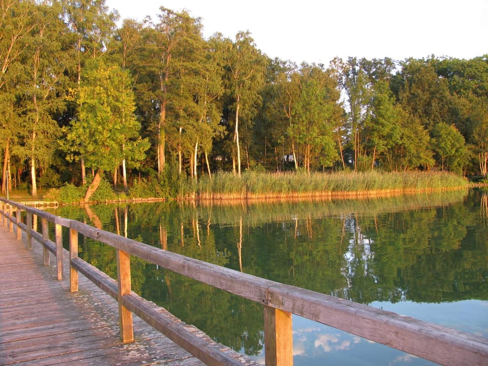 Natural landscape