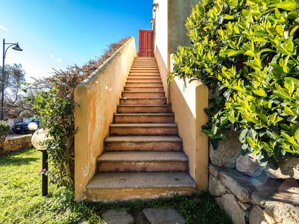 Patio, Garden, Garden view