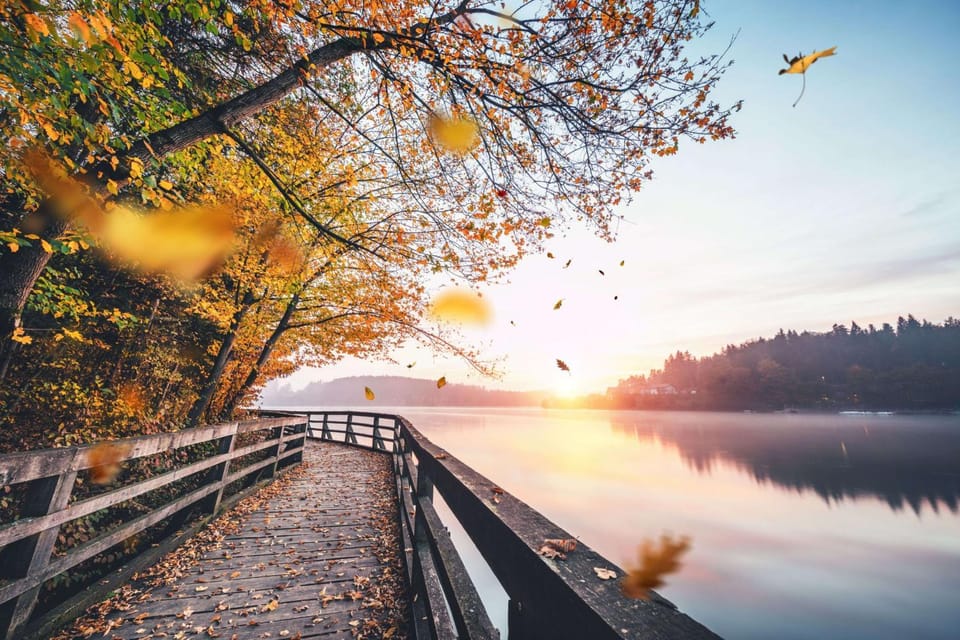 Autumn