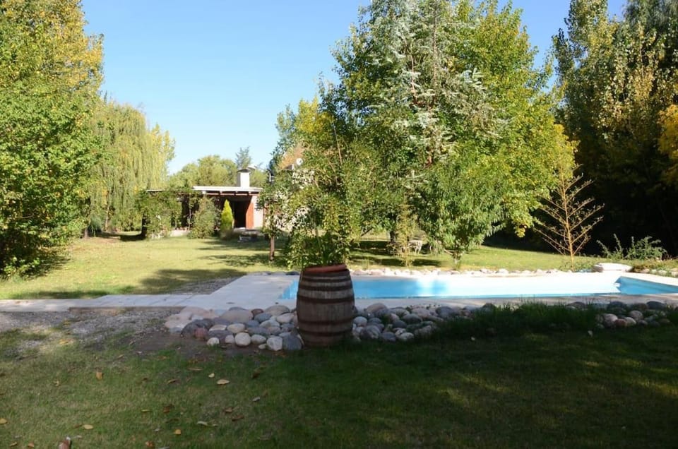 Garden, Pool view, Swimming pool