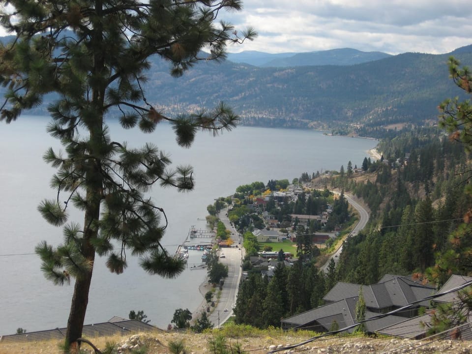 Lake view