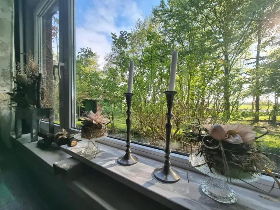 Spring, Natural landscape, Garden view