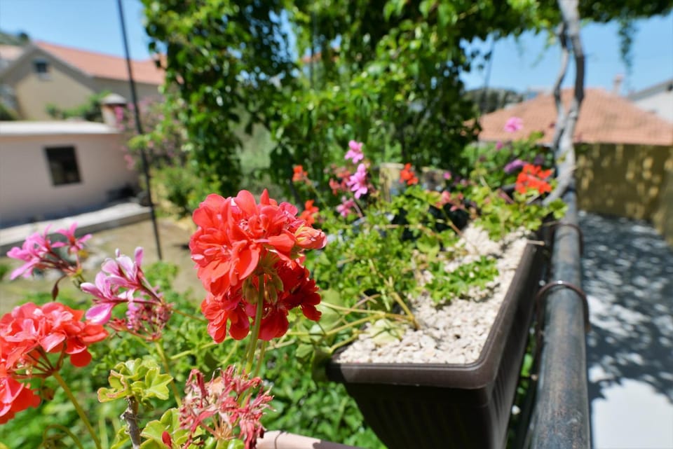 Garden, Balcony/Terrace