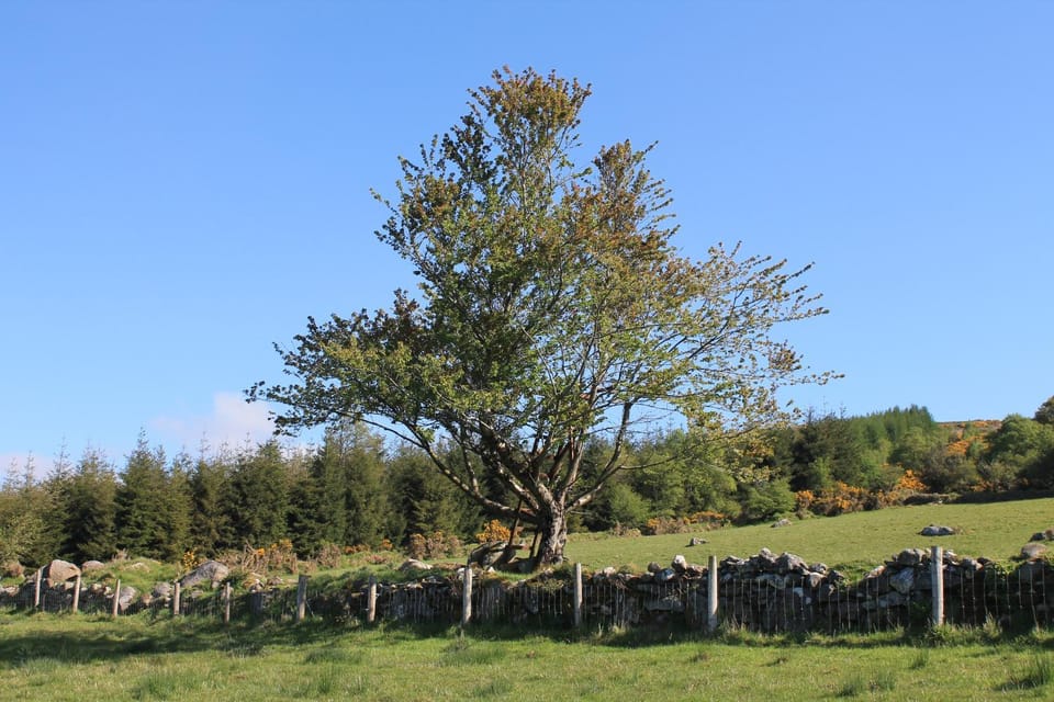 Natural landscape, Hiking