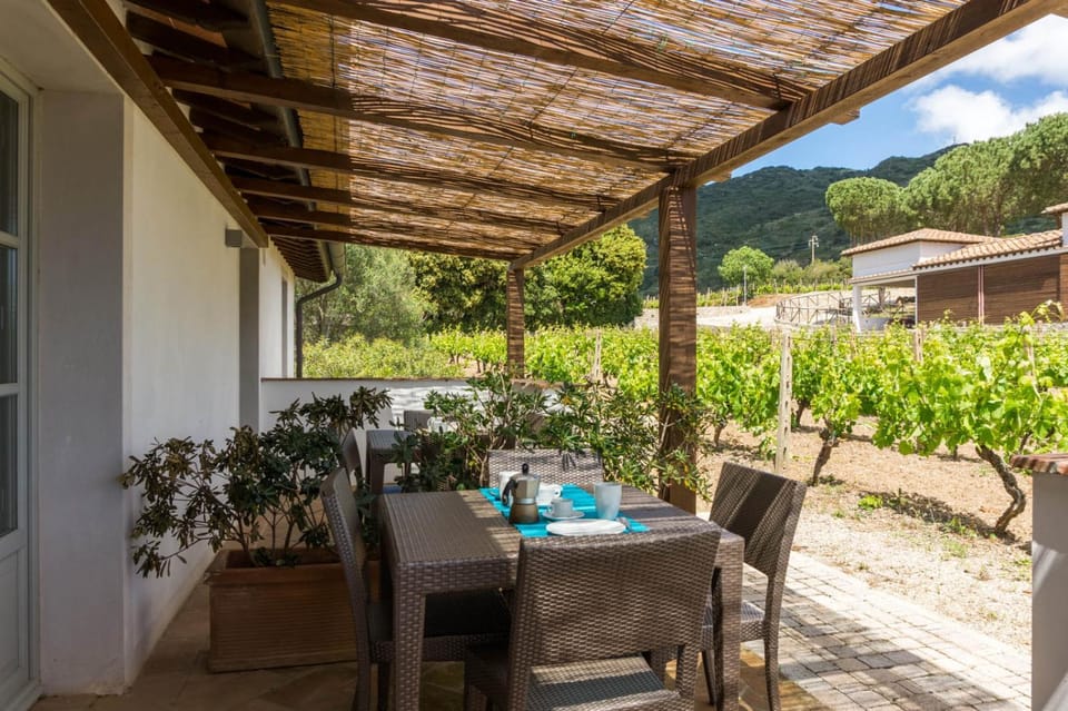 Patio, Dining area