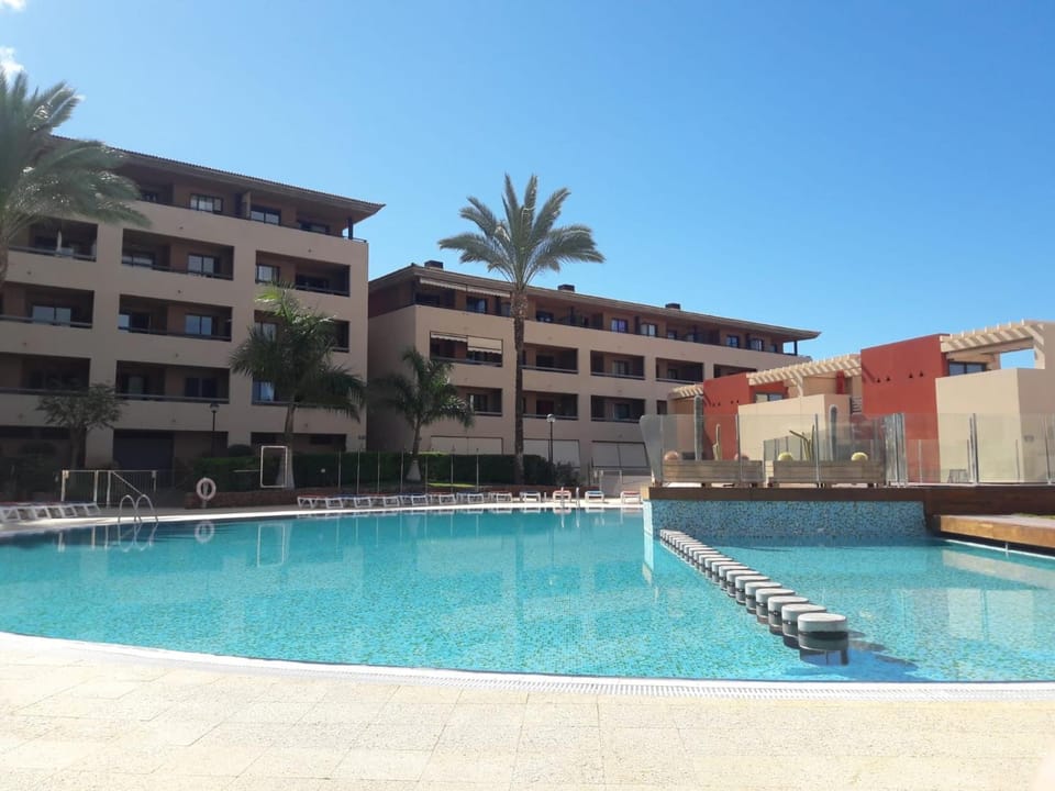 Pool view, Swimming pool, sunbed