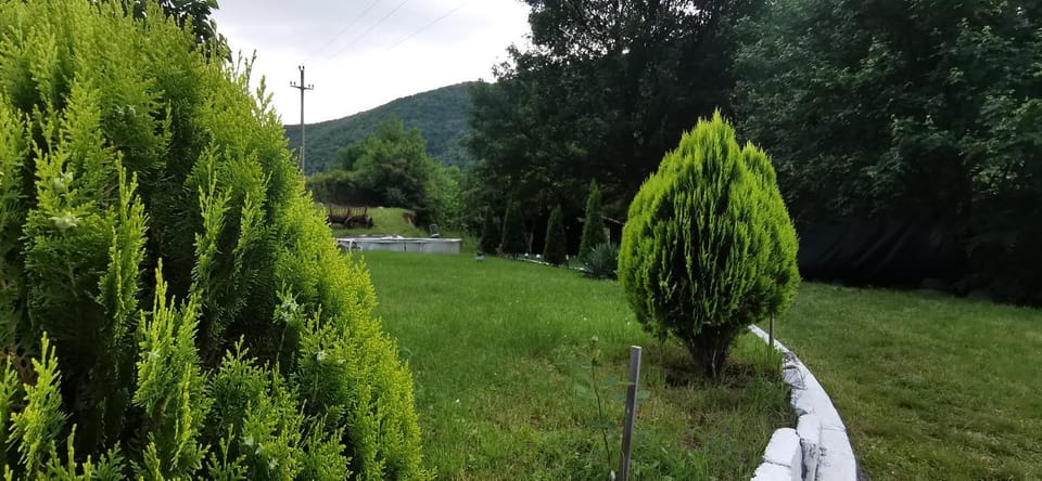 La Cabana Bed and Breakfast in Serbia