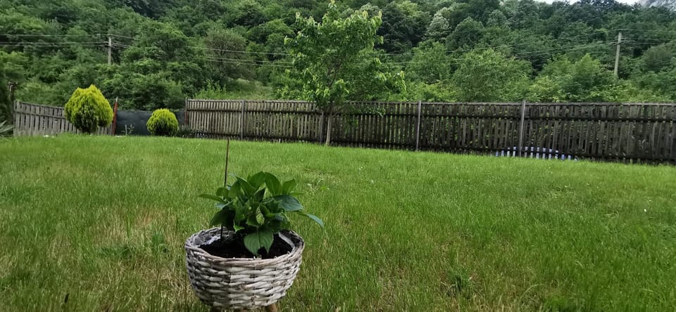 La Cabana Bed and Breakfast in Serbia