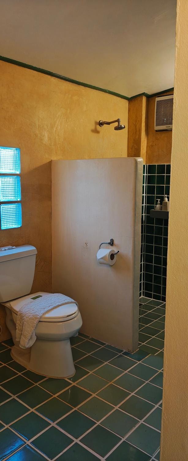 Shower, Toilet, Bathroom, bidet